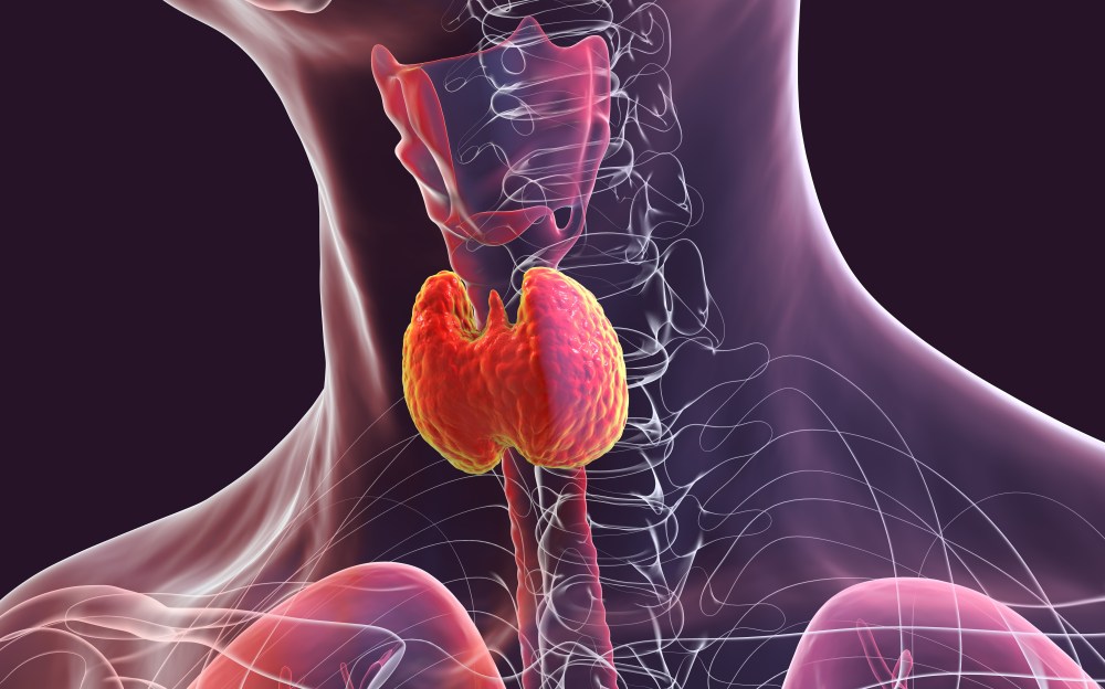 5 Common Thyroid Problems - Symptoms and Causes