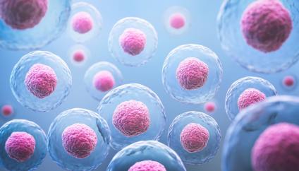 When Does Autophagy Start? Basics and How to Trigger It