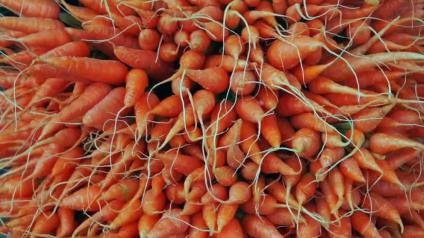 Vitamin A Functions and Deficiencies