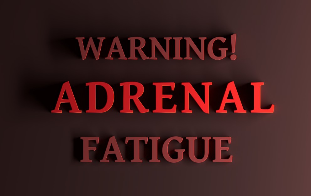 Adrenal Fatigue: Diet and Lifestyle Changes for Adrenal Health