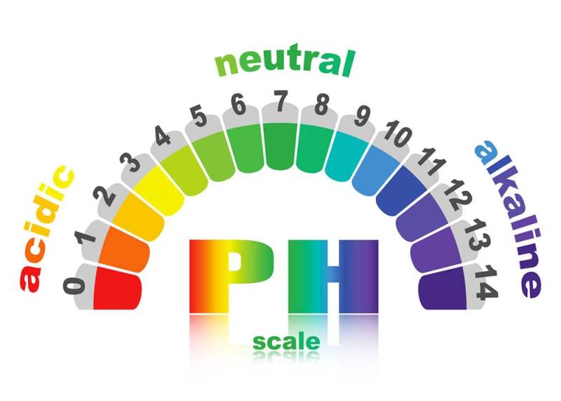 Rainbow colored pH scale, acidic to alkaline, with numbers on white background.