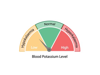 Is Your Sodium-Potassium Ratio Off? Why It Matters