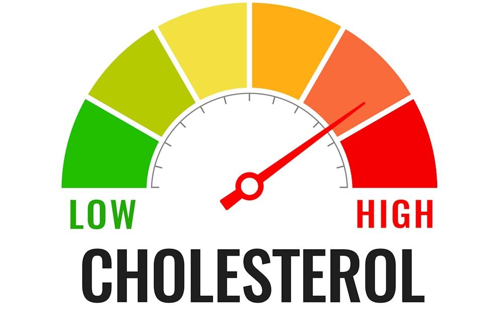 6 Foods and Herbs That Lower Cholesterol Naturally