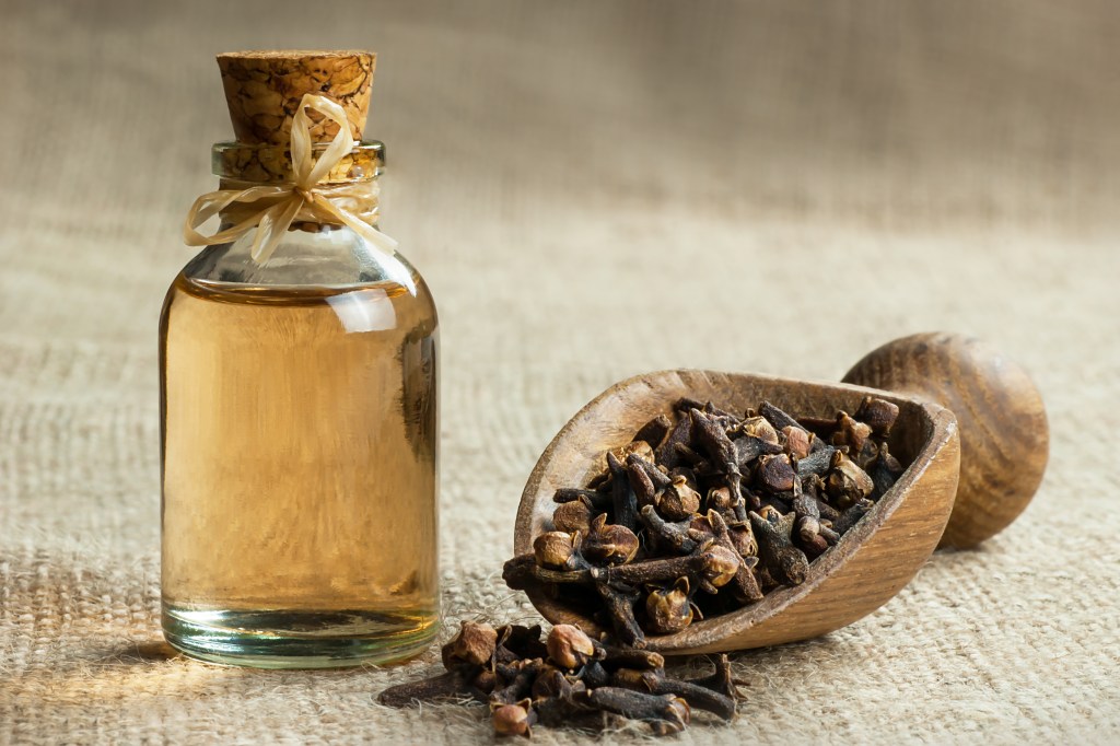 Clove oil in bottle
