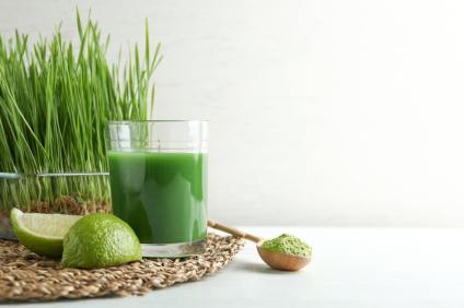 Wheatgrass Powder vs. Wheatgrass Juice Powder