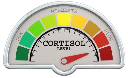 Does Cortisol Cause Weight Gain?