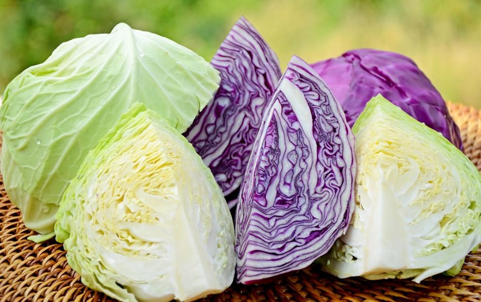 16 Delicious Keto Cabbage Recipes You Must Try