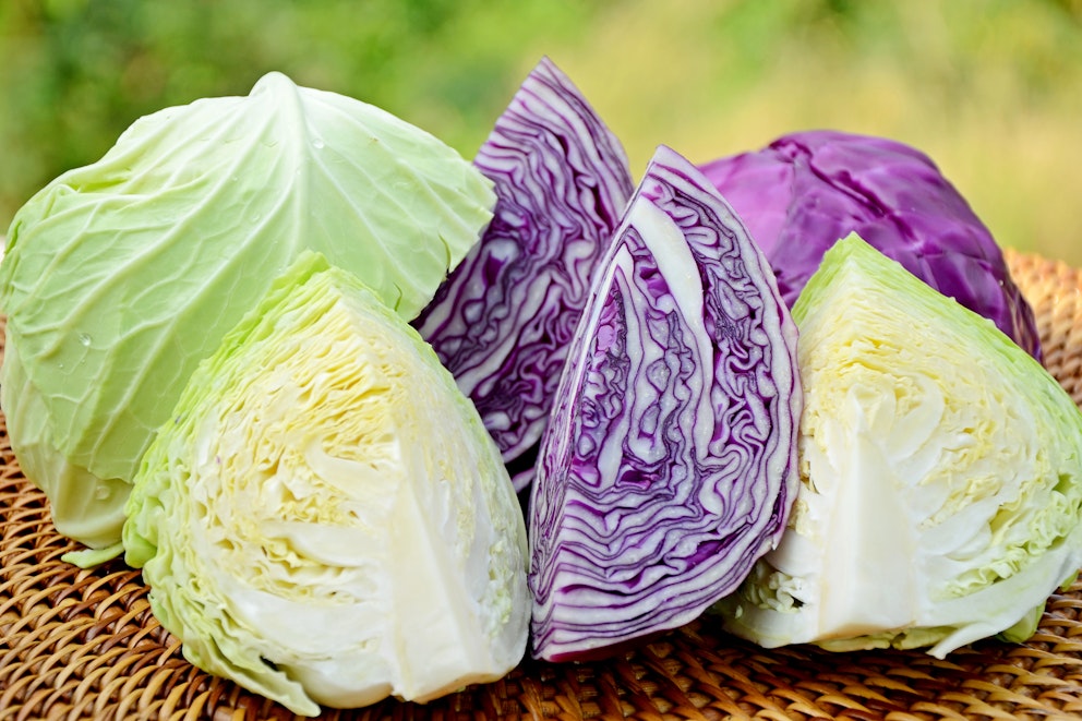 16 Delicious Keto Cabbage Recipes You Must Try