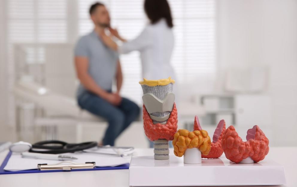 Cod Liver Oil for Those with Thyroid Problems (Hypothyroidism)