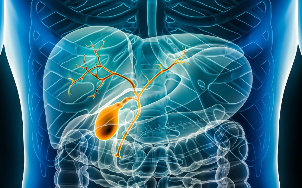 Bile Deficiency: Symptoms and Causes