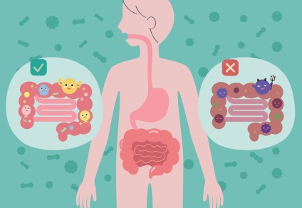 What Are the Worst Foods for Gut Health?