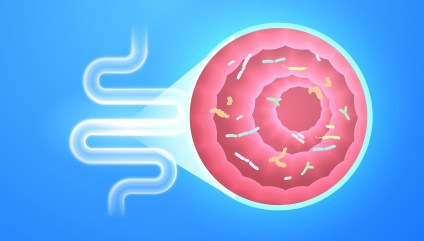 Gut Microbiome Explained: Everything You Need to Know