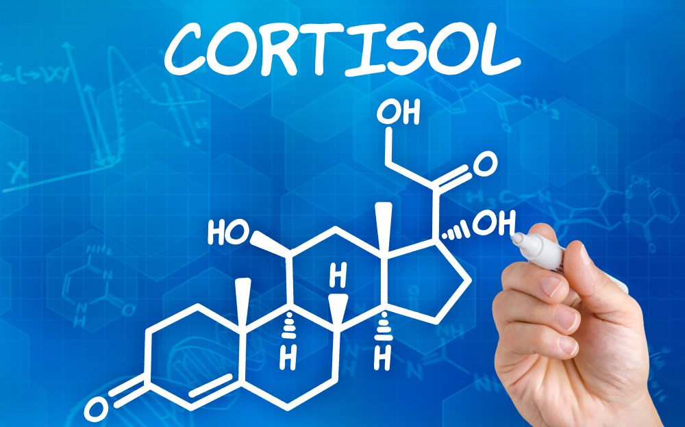 What Is Cortisol? Everything You Need to Know