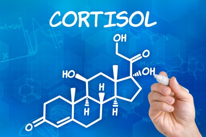 What Is Cortisol? Everything You Need to Know