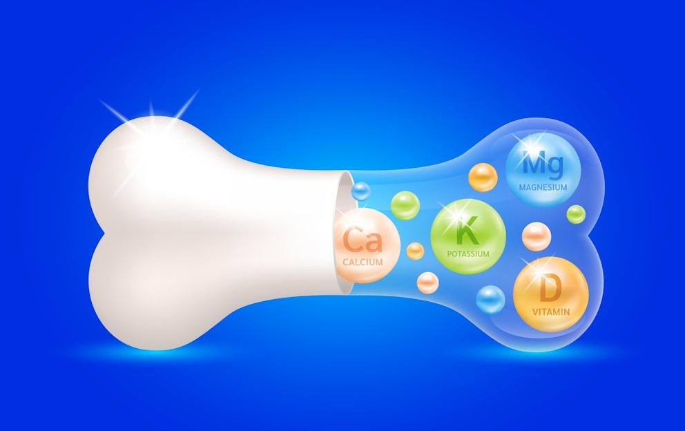 Vitamin D Bile and Your Gallbladder