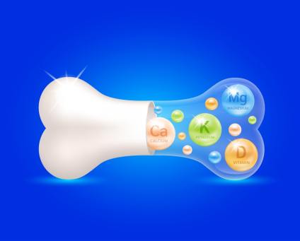 Vitamin D Bile and Your Gallbladder