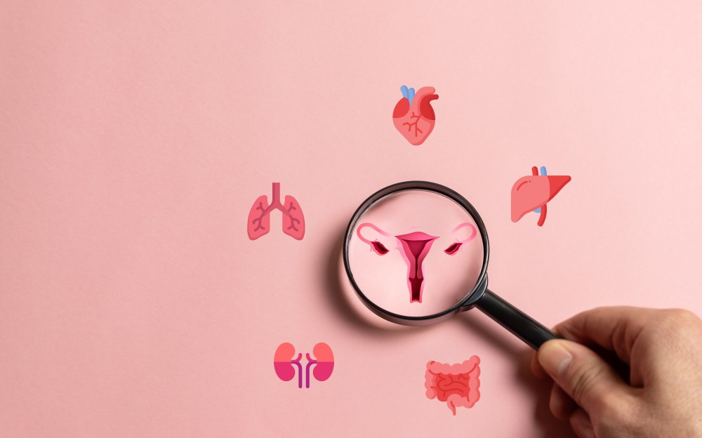 8 Best Probiotics for Women's Health