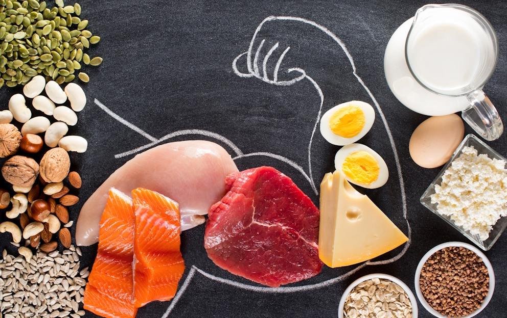 Protein Basics: Benefits, Sources, and Daily Intake