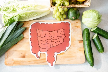 What Are the Best Foods for Gut Health?