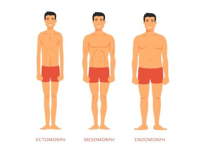 Ectomorph Body Type Explained