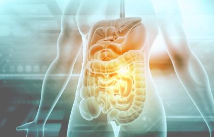 5 Incredible Zinc Carnosine Benefits for Your Gut