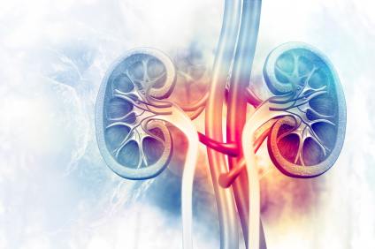 The TOP Best Foods to Improve Kidney Function (END STAGE KIDNEY DISEASE)