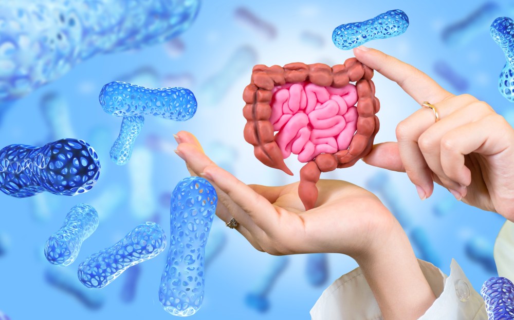 How to Increase Gut Bacteria Diversity