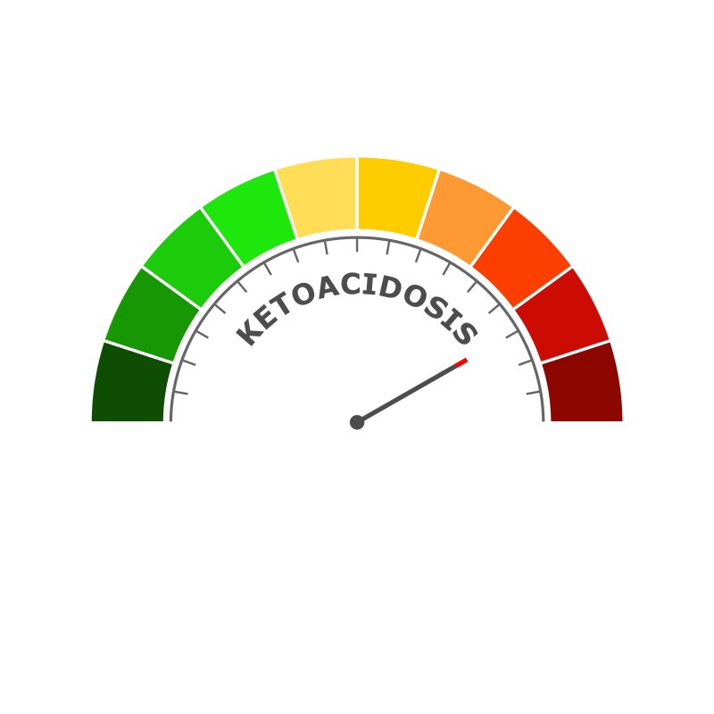 Ketoacidosis illustration