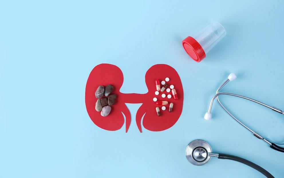 Chronic Kidney Disease: Warning Signs, Causes, and Remedies