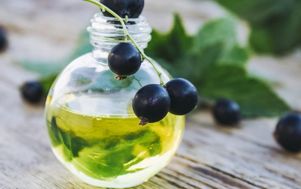 7 Incredible Black Currant Seed Oil Benefits
