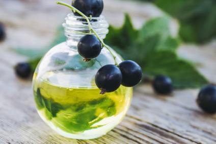7 Incredible Black Currant Seed Oil Benefits