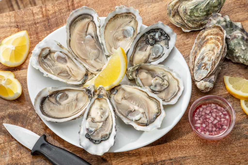 Raw oysters