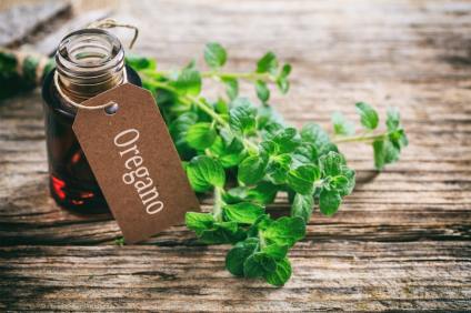 14 Amazing Oregano Oil Benefits
