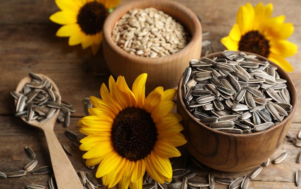 Are Sunflower Seeds Keto-Friendly?