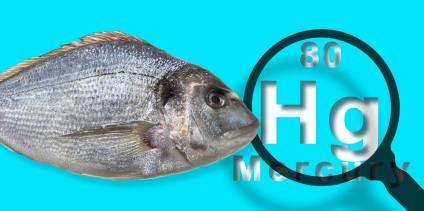 Are There Fish Without Mercury? List With the Lowest Levels
