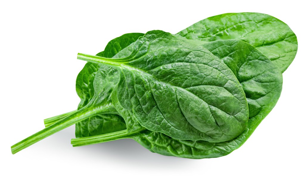 Baby spinach leaves