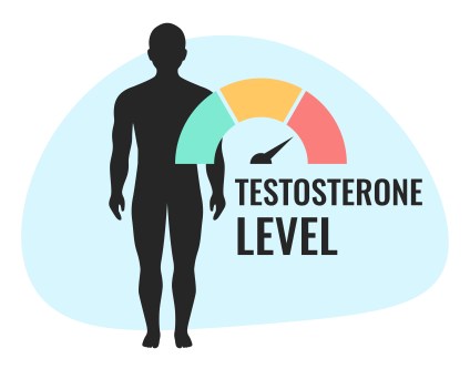 How to Raise Your Testosterone - 9 Ways