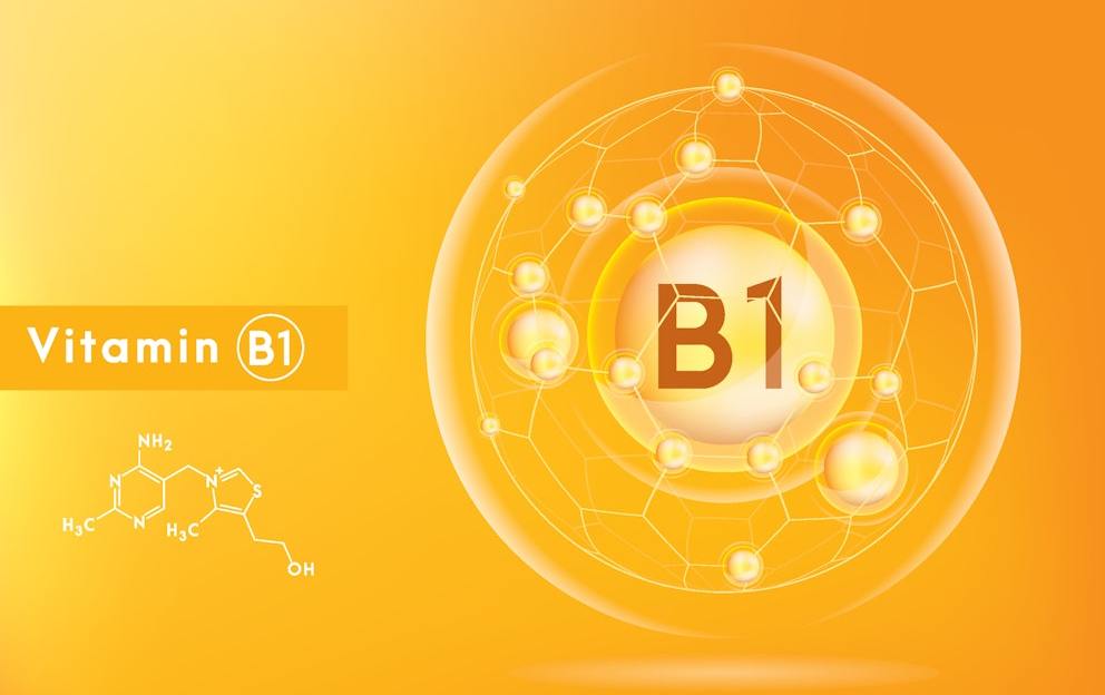 Top Benfotiamine Benefits and Uses