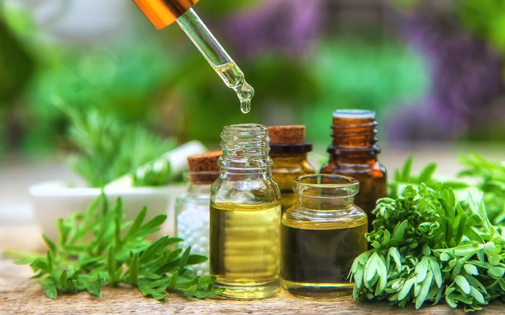 Wormwood Benefits, Uses, and Side Effects