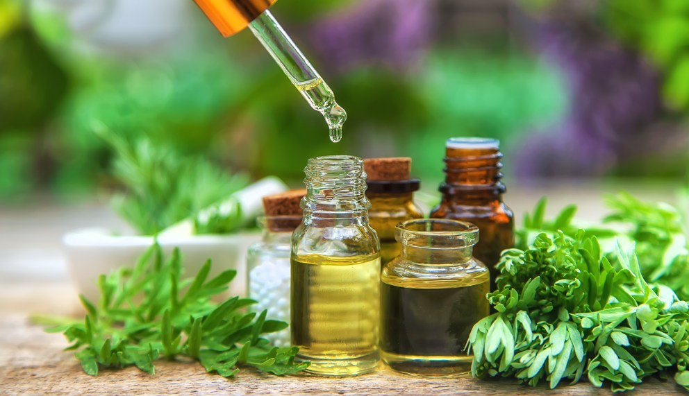 Wormwood Benefits, Uses, and Side Effects