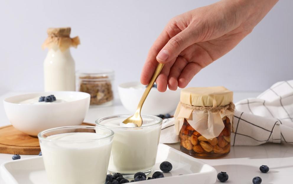 5 Interesting Benefits of Bulgarian Yogurt