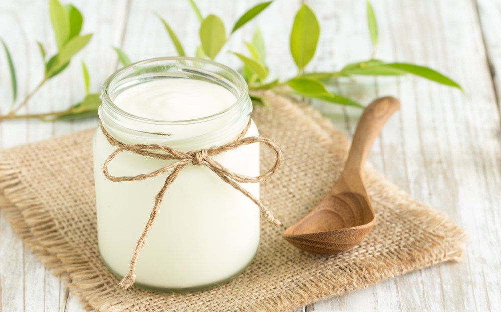 5 Benefits of Lactobacillus reuteri Yogurt