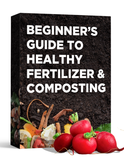 Beginner's Guide to Healthy Fertilizer and Composting