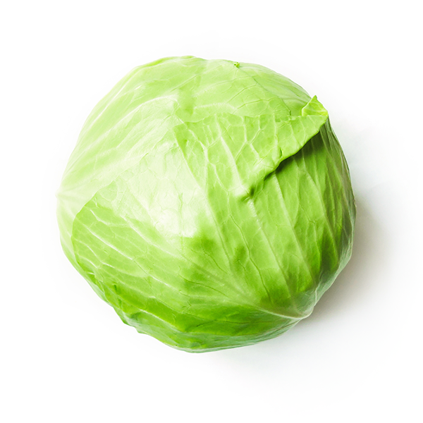 a head of cabbage on a white background