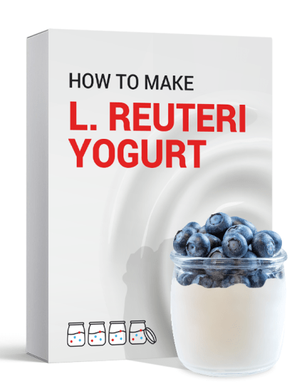 How to Make L. Reuteri Yogurt